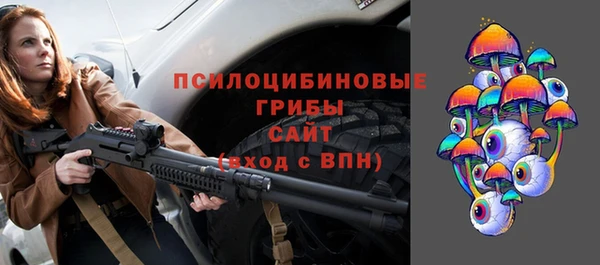 дмт Алексеевка