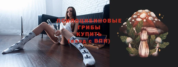 тгк Алексин