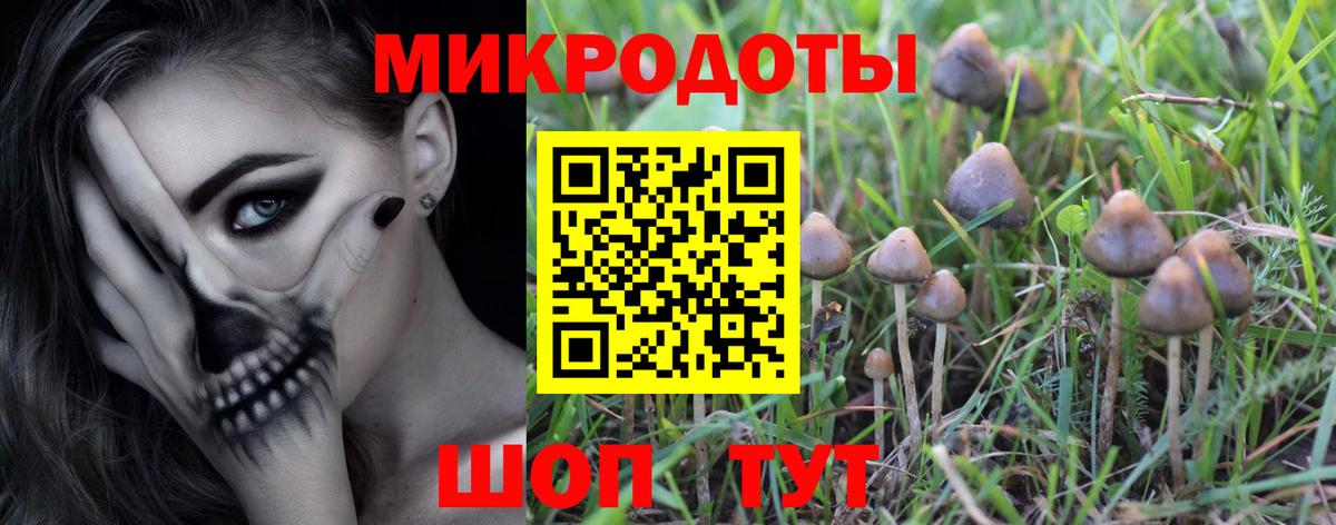 Псилоцибиновые грибы мицелий Люберцы