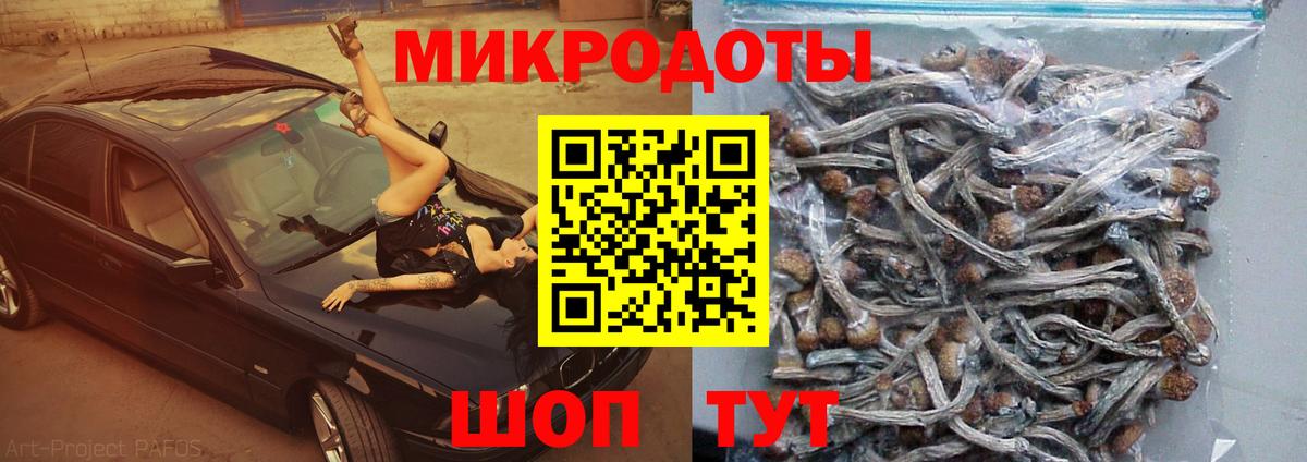 Галлюциногенные грибы ЛСД  Вход с VPN  Люберцы  Галлюциногенные грибы Cubensis 